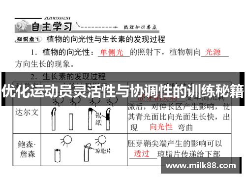 优化运动员灵活性与协调性的训练秘籍