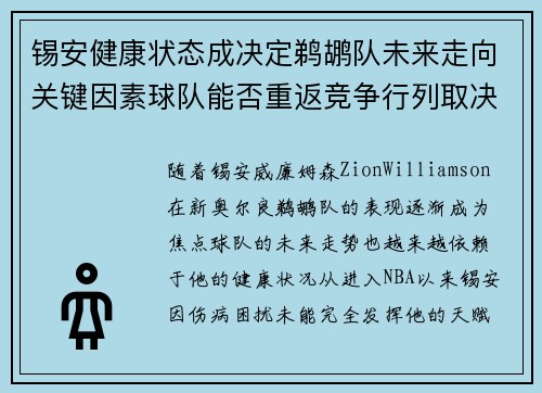 锡安健康状态成决定鹈鹕队未来走向关键因素球队能否重返竞争行列取决于此