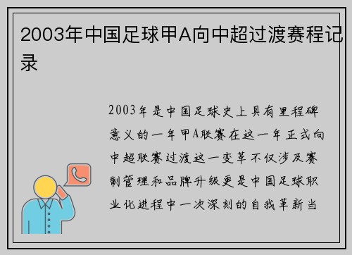 2003年中国足球甲A向中超过渡赛程记录